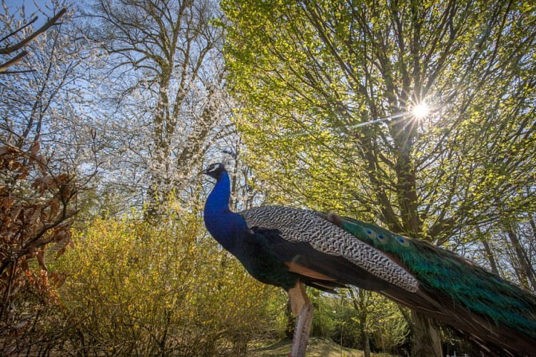 MB_CD76_18-04-19-illustrations-675