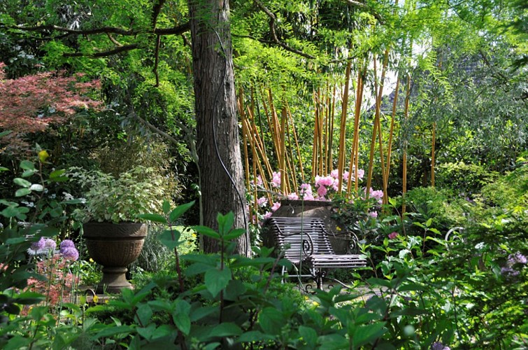 fauteuils-devant-bambous-1