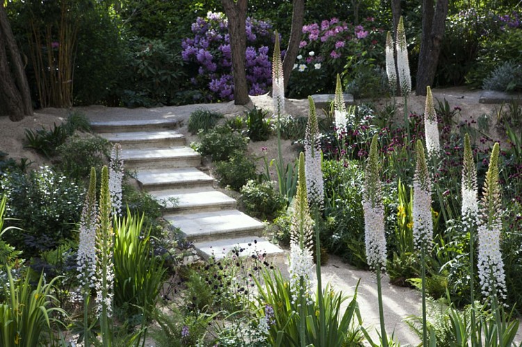 Jardin Agapanthe Grigneuseville