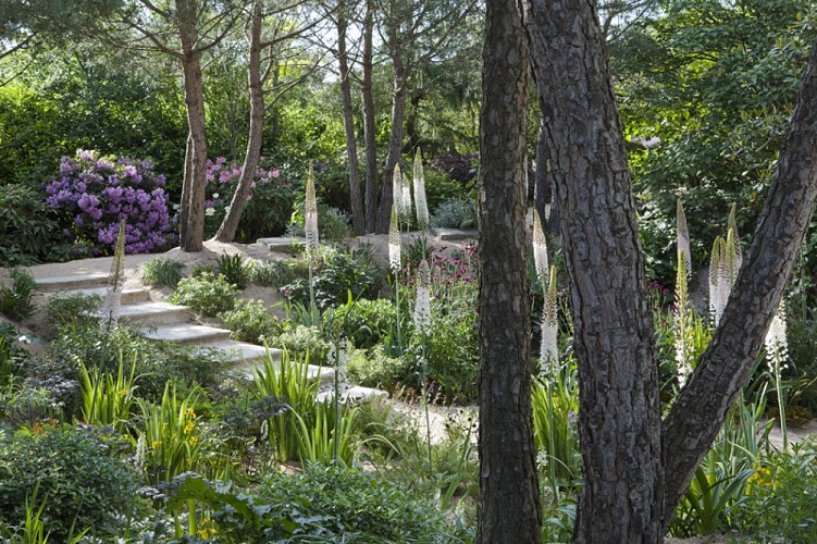 Jardin Agapanthe Grigneuseville