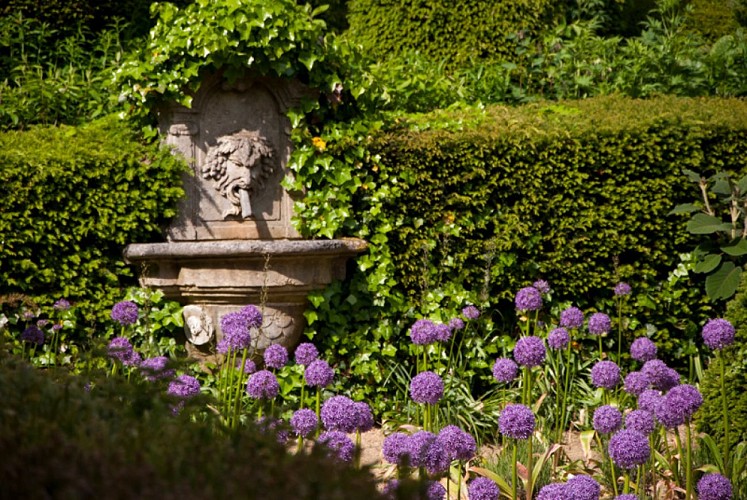 Jardin Agapanthe Grigneuseville