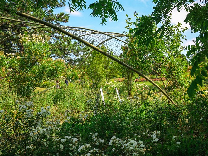 Roseraie-Le-Grand-Quevilly--SMT--M.Harel(6)