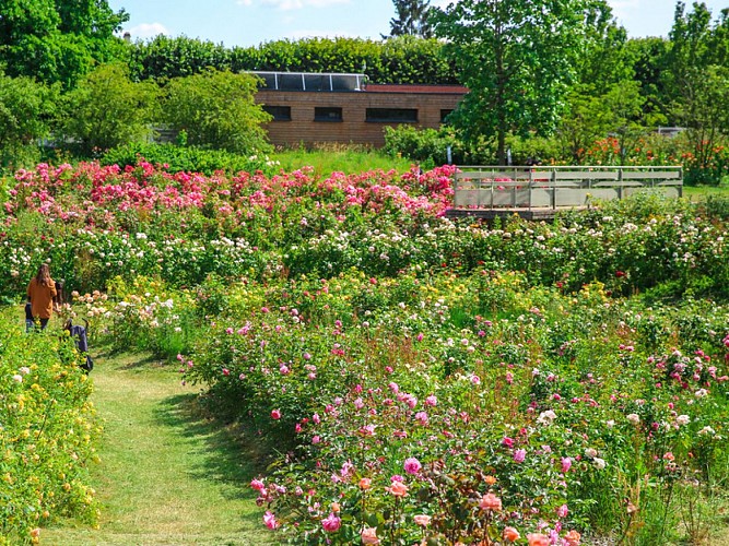La Roseraie de Grand-Quevilly