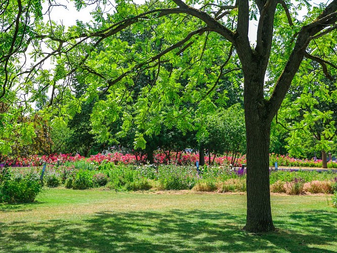 La Roseraie de Grand-Quevilly