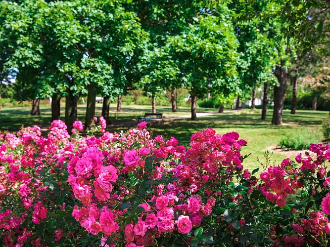 Roseraie-Le-Grand-Quevilly--SMT--M.Harel(8)