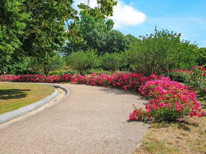 Roseraie-Le-Grand-Quevilly--SMT--M.Harel(7)