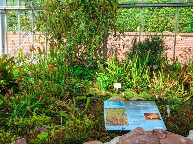 les_jardins_suspendus-sma-mathilde_harel-800x600 (6)