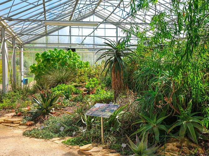 les_jardins_suspendus-sma-mathilde_harel-800x600 (9)