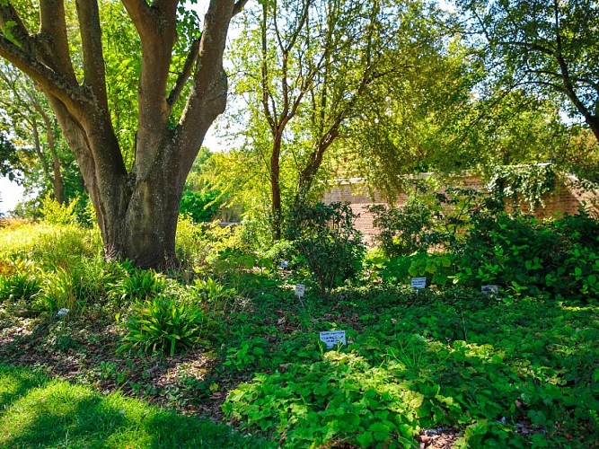Les Jardins Suspendus - Le Havre - 2020