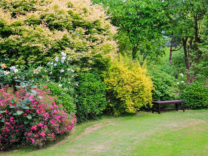Jardin-du-Mesnil--SMT--M.Harel(4)