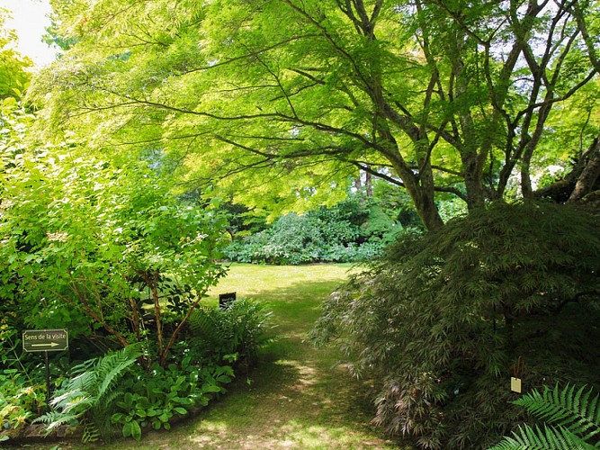 Jardin-du-Mesnil--SMT--M.Harel(2)