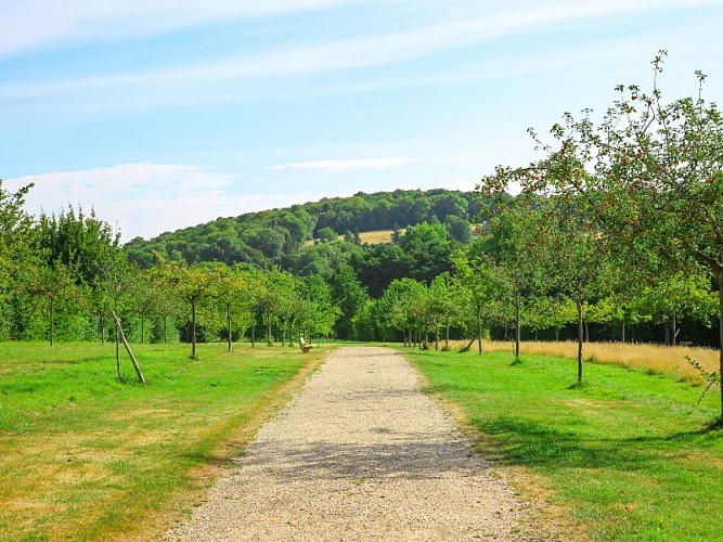 Parc de la Vallée du Telhuet - 2020