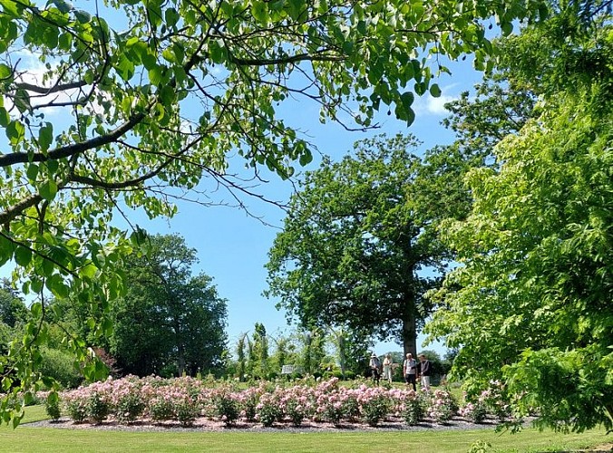 ParcFloralWilliamFarcy_Juillet2023©MairieOffranville-YLeroux (24)