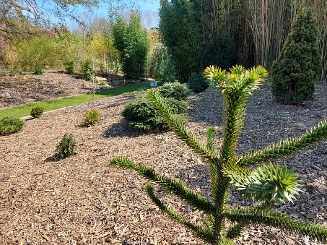 Parc Floral William Farcy à Offranville