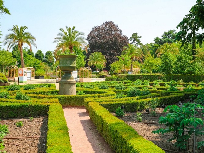 Jardin-des-Plantes--SMA--M.Harel(7)