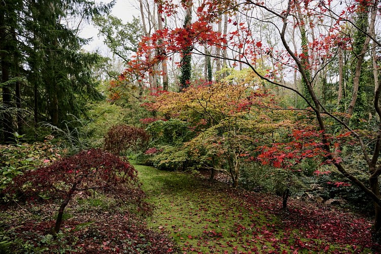Vasterival-Automne24-Paysages-HD-002