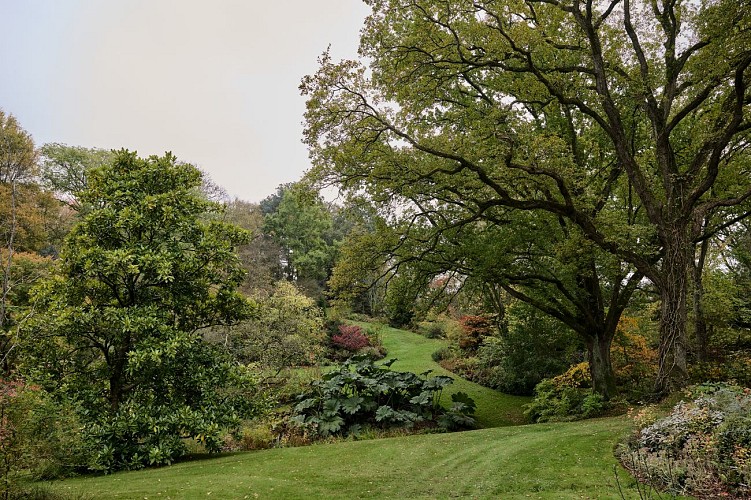 Vasterival-Automne24-Paysages-HD-010