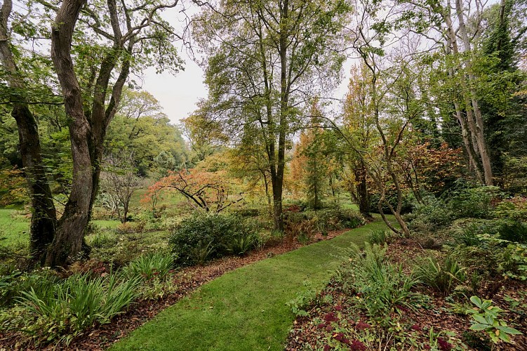 Vasterival-Automne24-Paysages-HD-004