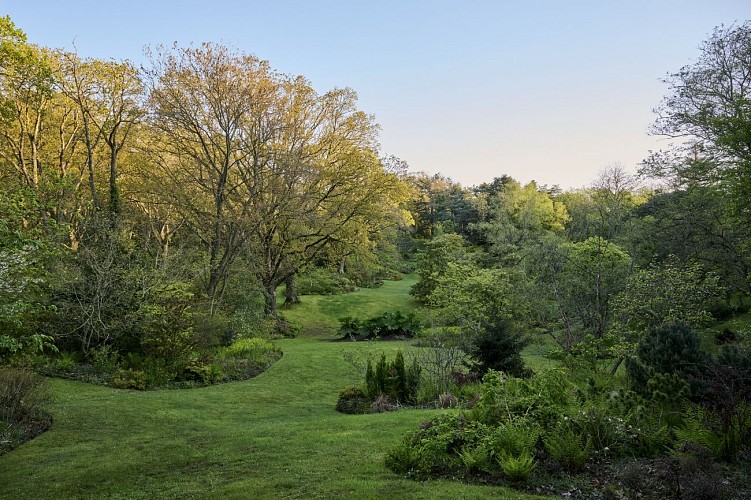 Vasterival-Printemps24-Paysages-HD-011