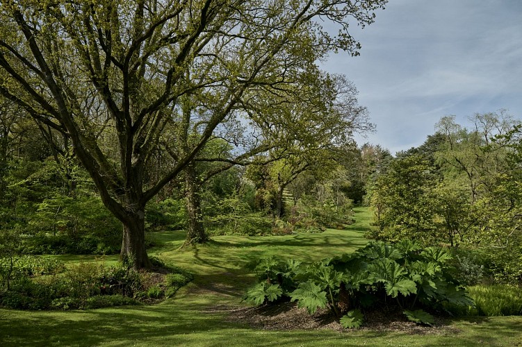 Vasterival-Printemps24-Paysages-HD-001