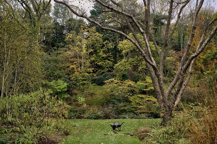 Vasterival-Automne24-Paysages-HD-011