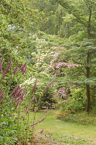 Entrée du petit-bois