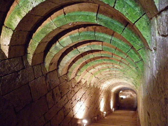 Escalier des caves au château de Blainville