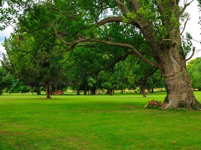 Parc-du-Château-de-la-rivière-Bourdet--SMA--M (7)