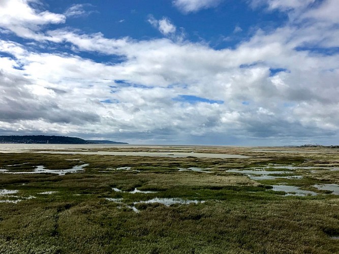 decouverte_reserve_vivien_c