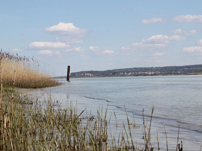 bord_de_seine_stephanie_rey