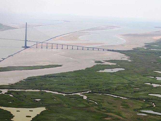 Vue générale embouchure 