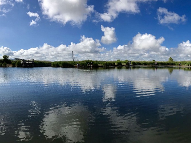 Mare pédagogique Pont Normandie