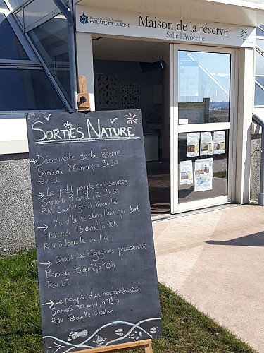 Entree_salle_avocette_steph