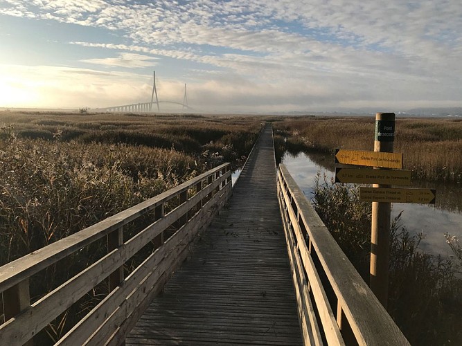 sentier_marais_amfard_vivie