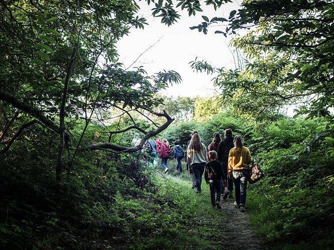 Dans-la-forêt-NATTERRA-2020 ©Alexandra FLEURANTIN