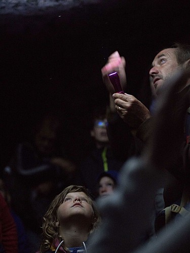 Balade naturaliste dans-la-nuit-NATTERRA
