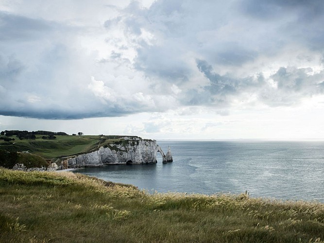 Balade naturaliste à ETRETAT-NATTERRA