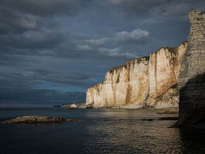 Balade naturliste sur la-Côte-d'Albâtre
