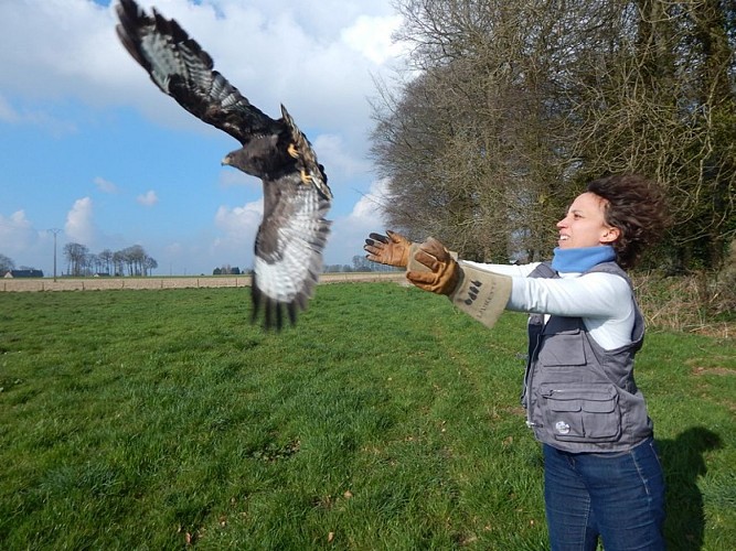 Allouville-Bellefosse-CHENE-CHENE-2020-1-2