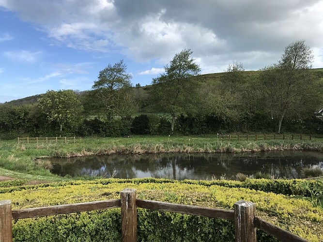 PNA-veulettes-sur-mer-parcours-basse-vallee-durdent--ccca-2020--6-