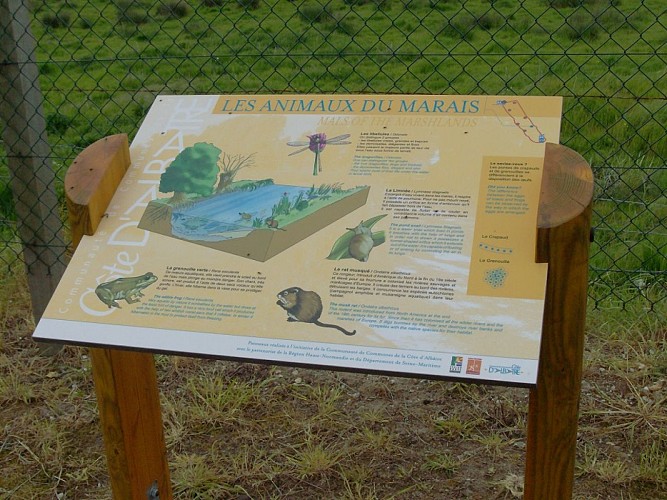 PNA-veulettes-sur-mer-parcours-basse-vallee-durdent--ccca-2020--7-