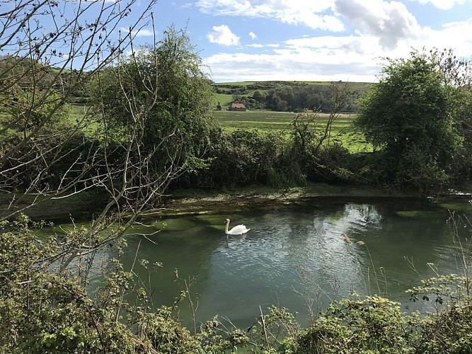 PNA-veulettes-sur-mer-parcours-basse-vallee-durdent--ccca-2020--4-