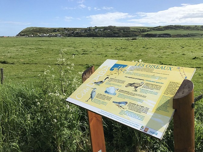 PNA-veulettes-sur-mer-parcours-basse-vallee-durdent--ccca-2020--2-