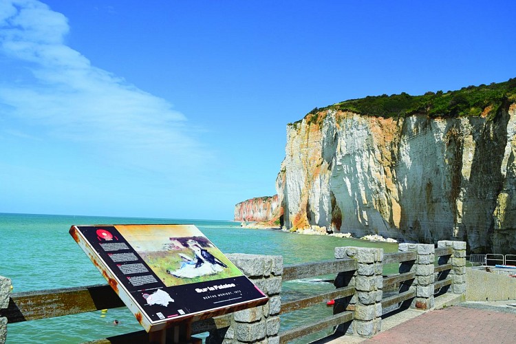 Saint-Pierre-en-Port et les Grandes Dalles