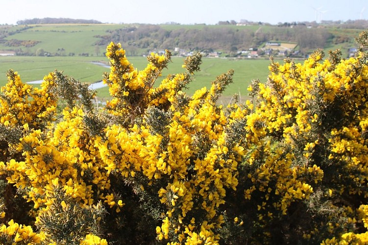 PNA-paluel-site-nature-du-pont-rouge-ccca-2020--7-