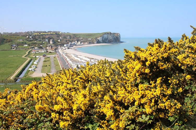 PNA-paluel-site-nature-du-pont-rouge-ccca-2020--4-