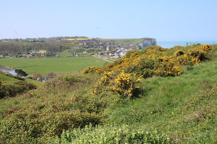 PNA-paluel-site-nature-du-pont-rouge-ccca-2020--8-