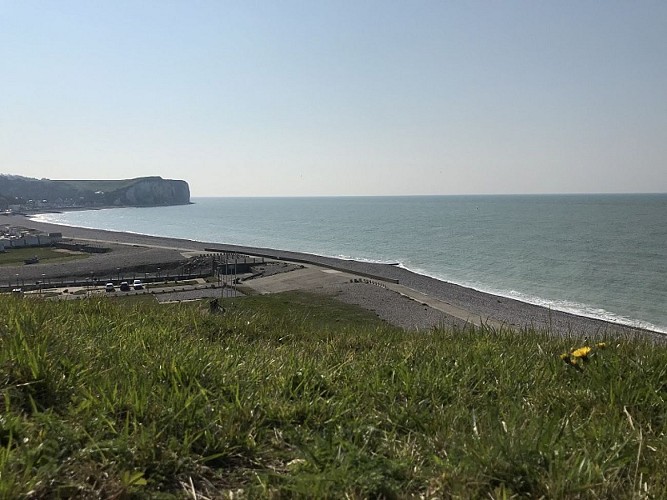 PNA-paluel-site-nature-du-pont-rouge-ccca-2020--2-