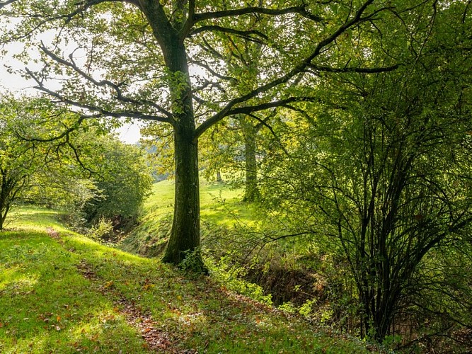Croix-Mare-Val-au-Cesne-G