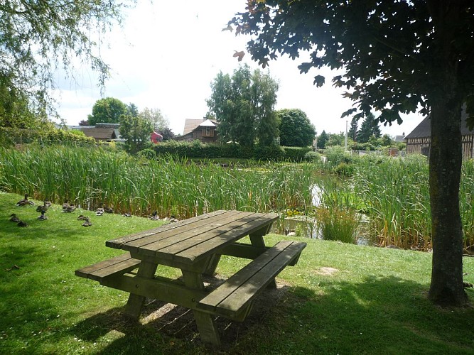 Aire de pique-nique d'Auzouville-sur-Ry